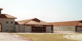 Dubai-Stables